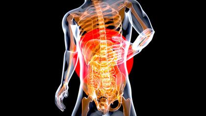 Los prebióticos y probióticos se han convertido en elementos clave para mantener un equilibrio saludable en la flora intestinal