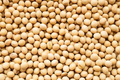 Los precios de la soja en Chicago se encaminan hacia los 600 dólares por tonelada