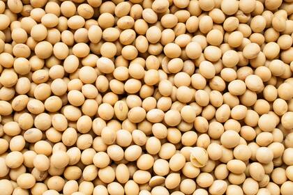 Los precios de la soja repuntaron en Chicago luego de las bajas de la semana pasada