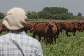 Impuesto a la riqueza: nueva carga fiscal para la producción
