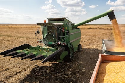 Los precios en la Bolsa de Chicago están en mínimos desde noviembre de 2020