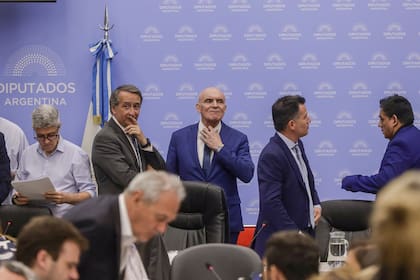 Los presidentes de las comisiones que integran el plenario, entre ellos José Luis Espert, aliado protagónico del gobierno