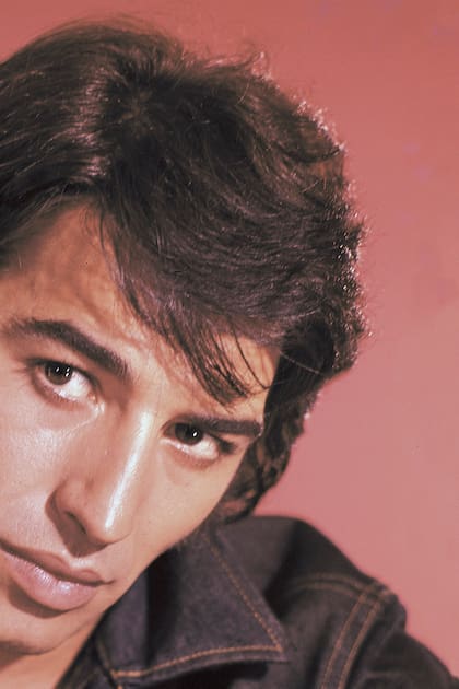 Sandro desconocido: los secretos del ídolo en su Valentín Alsina natal - LA NACION