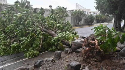 Los primeros reportes del impacto de Melissa en Jamaica hablan de daños en varias zonas