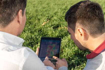 Los principales motivadores laborales se concentran en tres ejes: desarrollo profesional, clima laboral y estabilidad o balance entre la vida personal y el trabajo