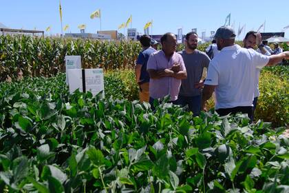 Los productores, ávidos por la tecnología en Expoagro