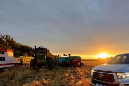 Los productores buscan aprovechar las condiciones de humedad para continuar la siembra