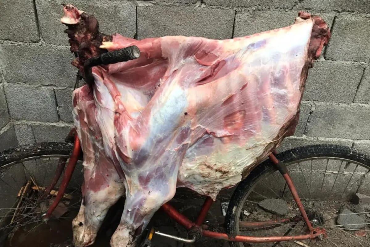 Los productores de Olavarría informaron sobre diversos hechos de abigeato