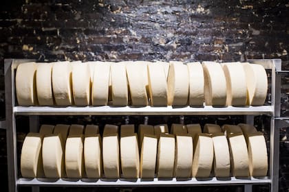 Los productores de quesos de Wisconsin están perdiendo mercados en el exterior por las represalias a las medidas tomadas por Trump