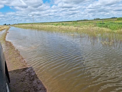 Los productores denuncian que no se hace el mantenimiento necesario