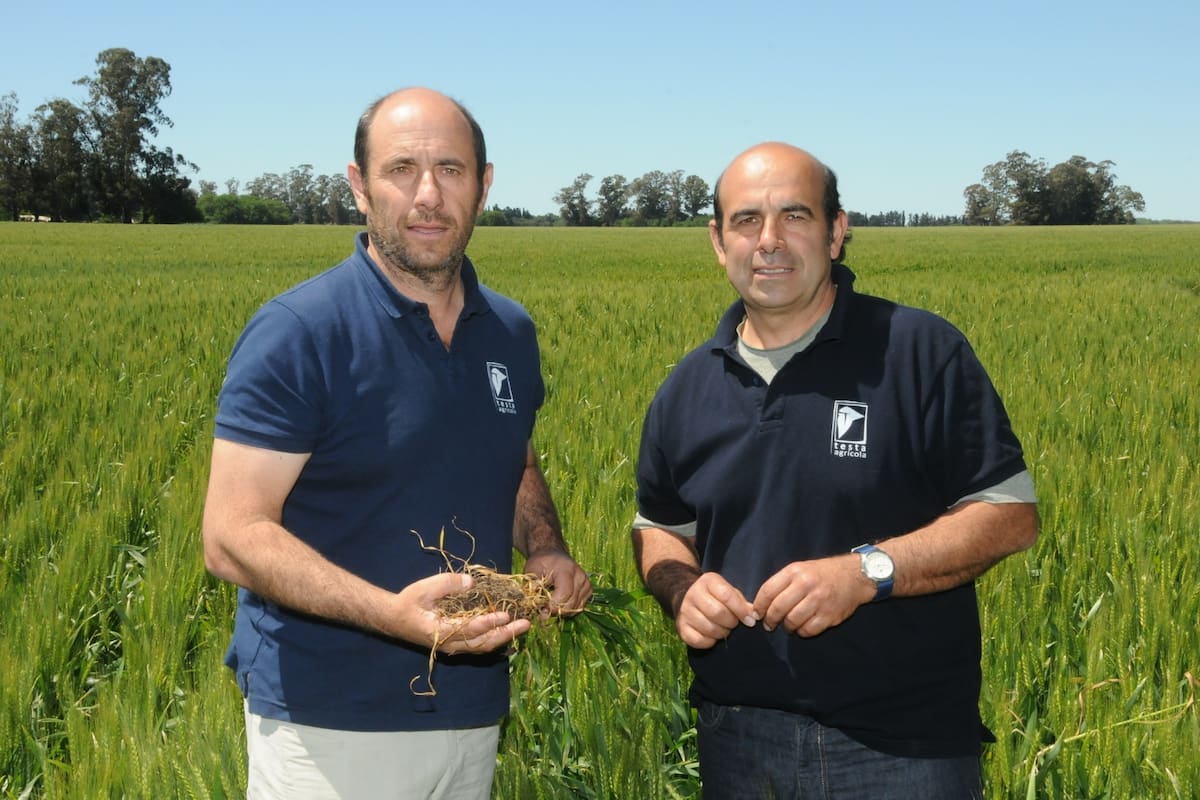 Los productores Marcelo y Carlos Testa