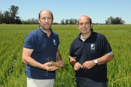 Los productores Marcelo y Carlos Testa