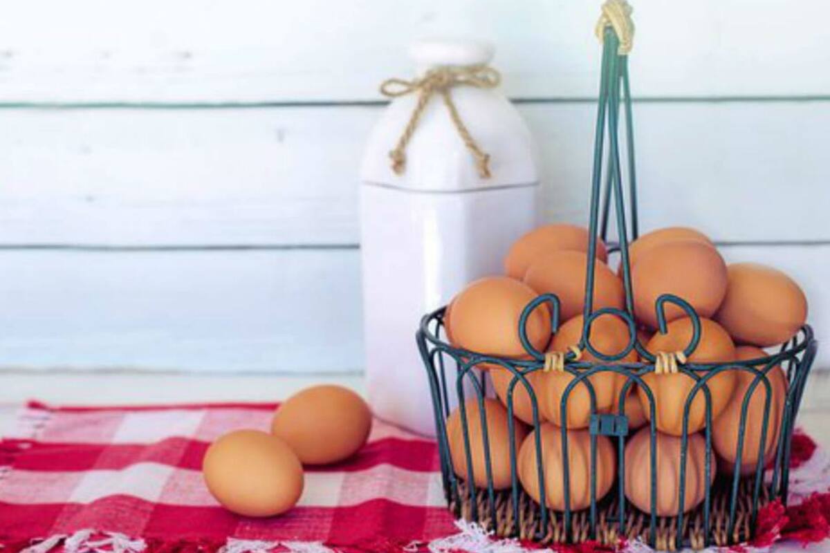 Los productores ofrecen la venta al costo de 15 millones de unidades