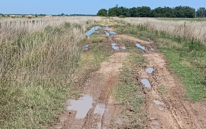 Los productores piden que la tasa vial se use para caminos