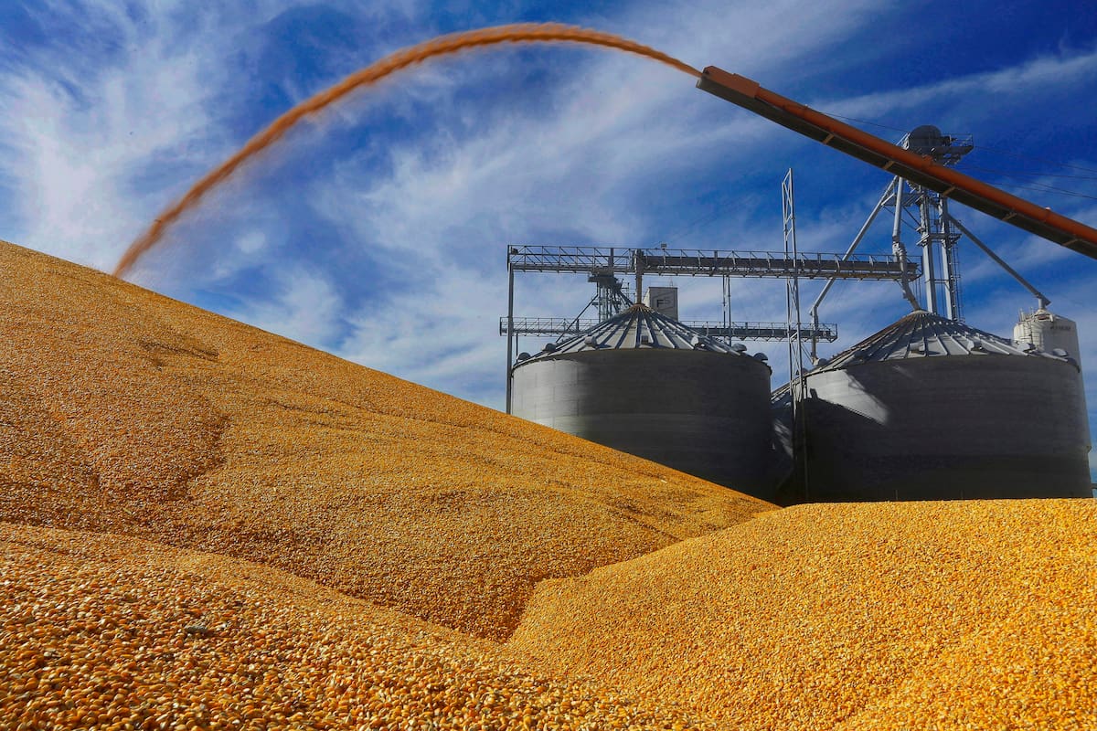 Los productores podrían acceder a un cobro directo en dólares