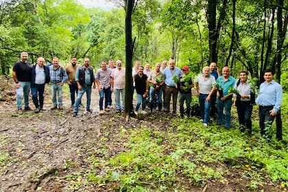 Los productores que están dentro de la movida cafetalera en Tucumán