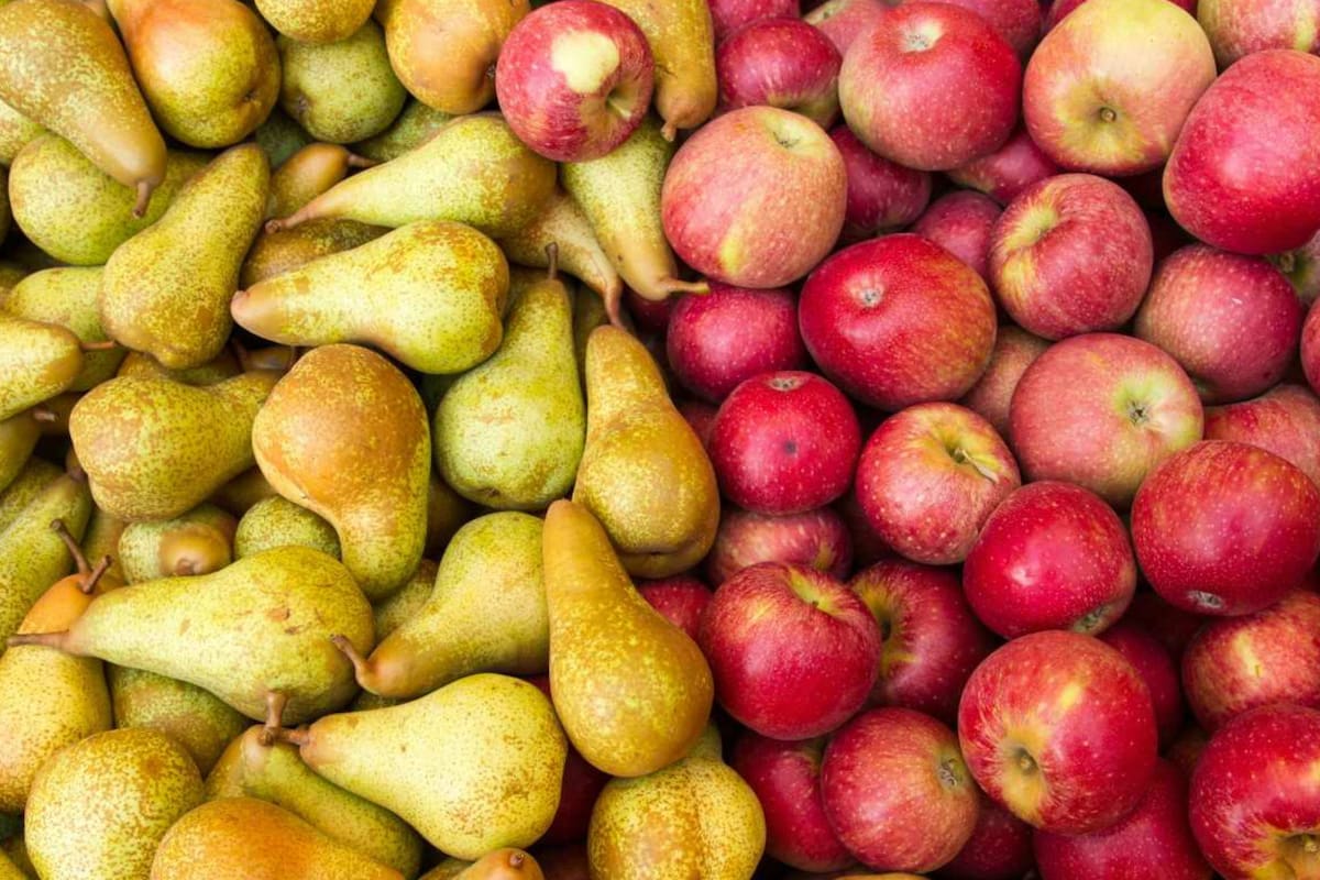 Los productores reclaman asistencia