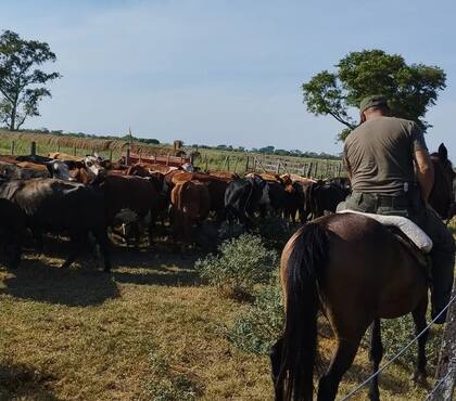 Los productores reclaman acciones a las autoridades