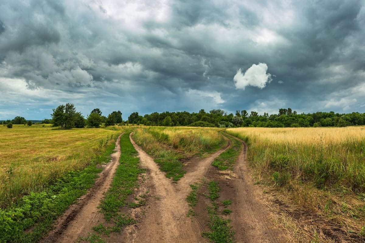 Los productores reclaman una contraprestación por el pago de la tasa