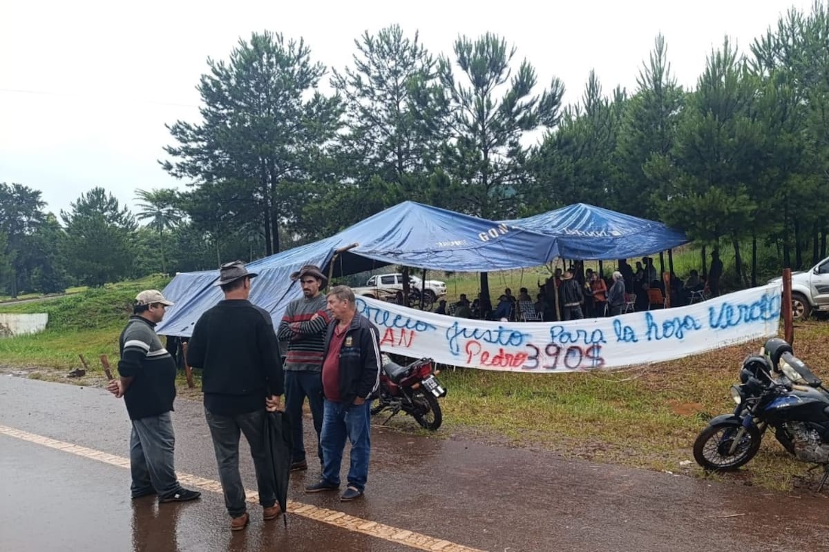 Los productores se pararon sobre la ruta 14 a la altura de la localidad de San Pedro, en Misiones
