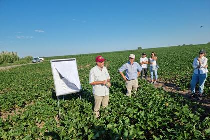 Los productores visitaron campos de producción en Santa Fe y en Buenos Aires