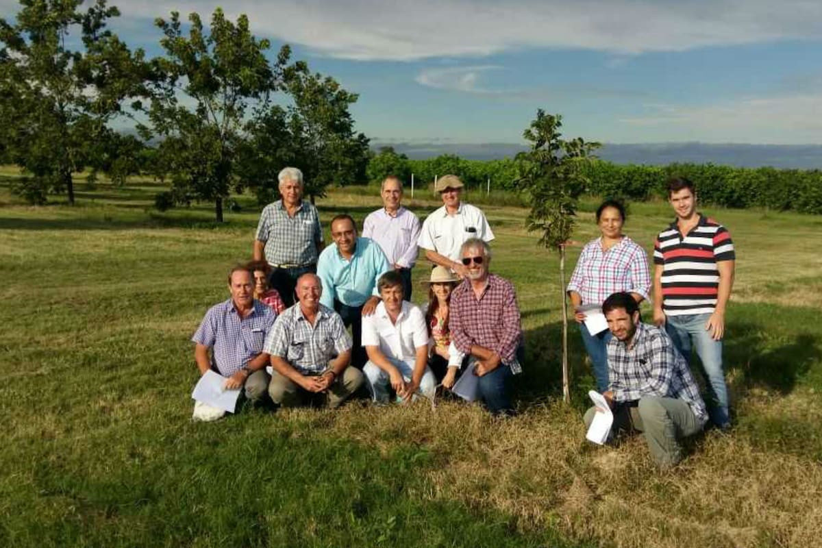 Los productores y técnicos del grupo NOA Pecán