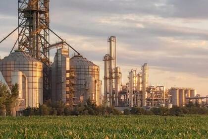 Los productos aprobados son levadura Saccharomyce cerevisiae cepas GICC03486 (GPY10009), GICC03506 (GPY10023), GICC03578 (GPY10168) y GICC03588 (GPY00603)