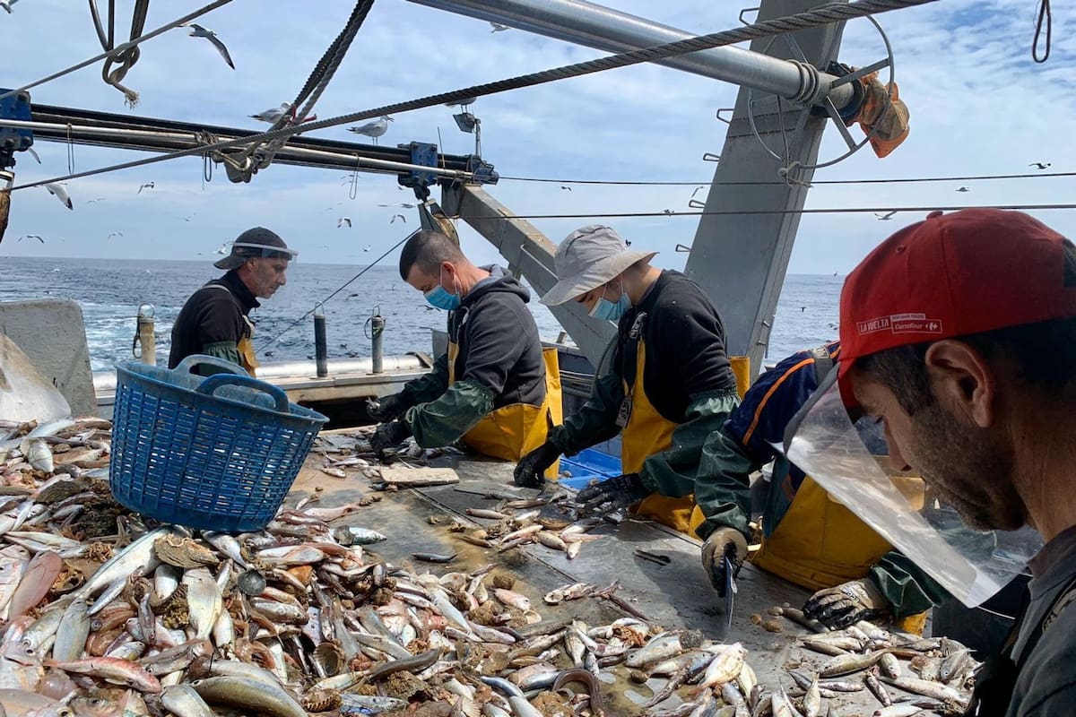 Los productos pesqueros, con un aumento de 46%, fueron los que más subieron dentro del índice de precios mayoristas de enero