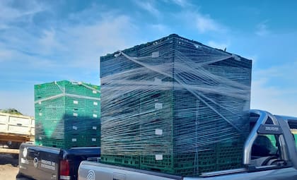 Los productos recuperados se distribuyen a través de 12 Bancos de Alimentos ubicados en distintas regiones del país