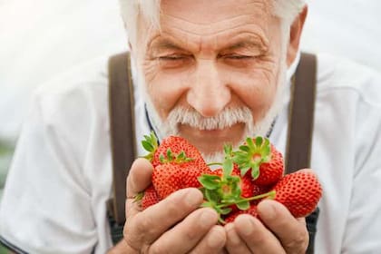Los profesionales de Mayo Clinic explican que es natural que a partir de los 60 años disminuya el sentido del olfato y del gusto