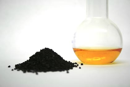 Los profesionales recomiendan la semilla y el aceite de comino negro para prevenir enfermedades (Foto ilustrativa)