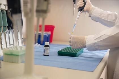 Los profesionales trabajaron con 49 chicos de nueve meses a 17 años