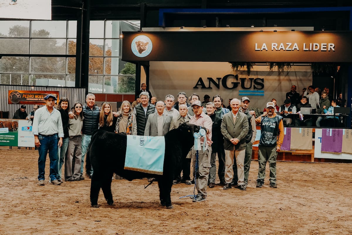 “Los propietarios de la cabaña Tres Marías, que ganó el Mejor Ternero Negro, junto a los integrantes de la Mesa de Enlace y Alfonso Bustillo, presidente de Angus, entre otros