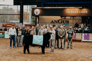 Expo Angus de Otoño: la raza consagró a los mejores terneros