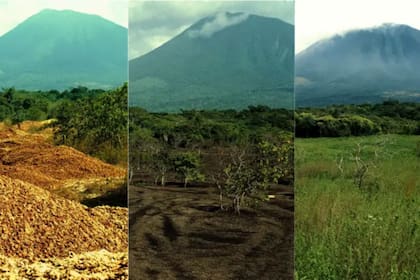Los propios ecólogos realizaron un collage para mostrar el cambio del terreno: de desierto a tierra fértil
