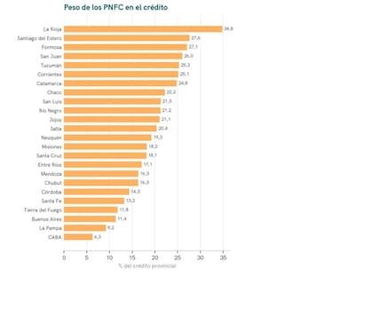 Los proveedores no financieros de crédito (PNFC) explican 14,1% del crédito nacional, pero su mora por monto (31,0%) más que duplica la del sistema financiero (15,2%). El cuadro provincia por provincia. Fuente: Universidad Austral y EcoGo