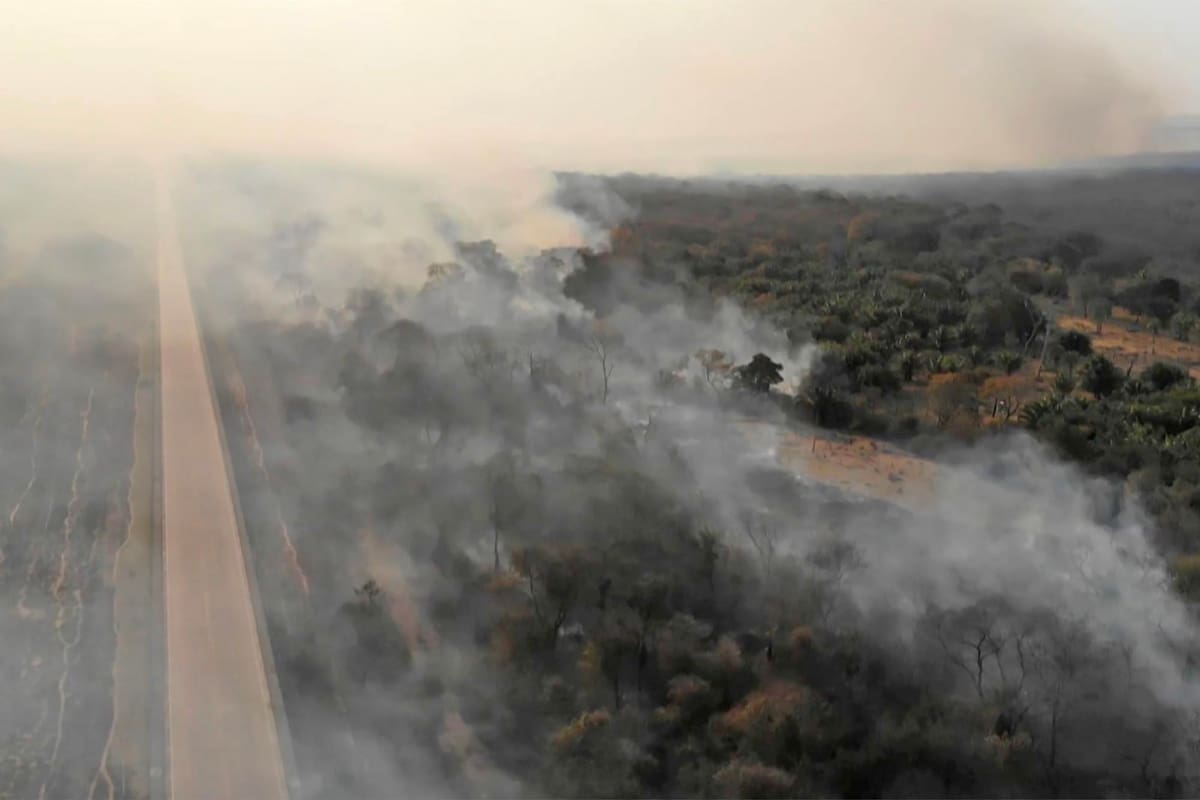 Los pueblos indígenas de la tribu Mura muestran un área deforestada en tierras indígenas sin marcar dentro de la selva amazónica cerca de Humaita