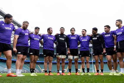 Los Pumas buscan estar entre los seis primeros del ranking para ser cabezas de serie en el próximo Mundial