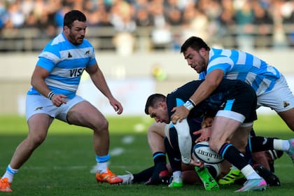 Los Pumas cayeron con La Rosa el fin de semana pasado en La Plata; van por la revancha en San Juan