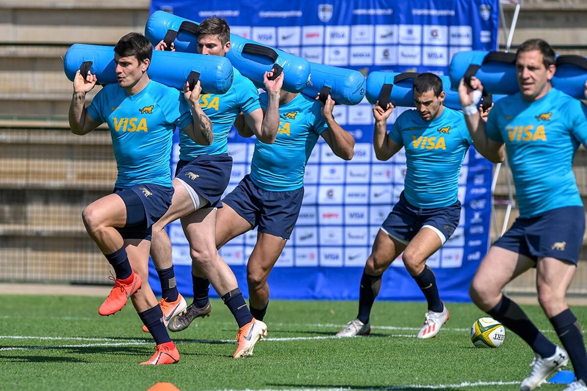 Los pumas se entrenan en Pretoria