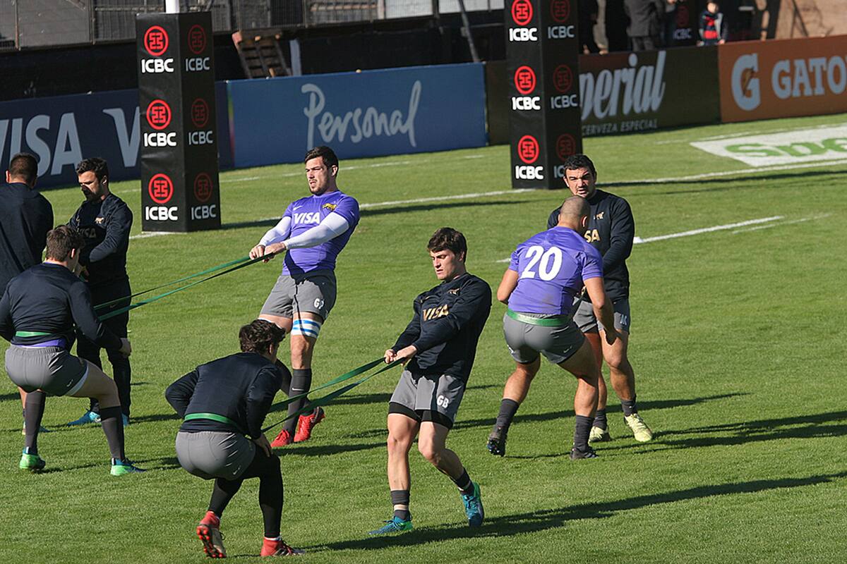Los Pumas, sin Head Coach