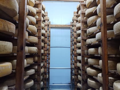 Los quesos del establecimiento La Suerte, elaborados de manera artesanal
