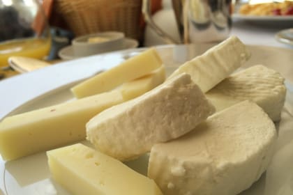 Los quesos tienen diferentes tipos de composiciones.