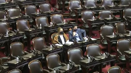 Los radicales Claudia Najul y Federico Zamarbide asistieron al recinto para debatir la ley de etiquetado frontal