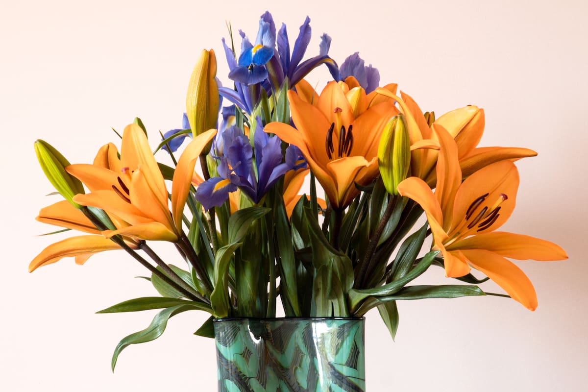 Los ramos de flores pueden durar frescas de tres a cinco semanas con los cuidados necesarios