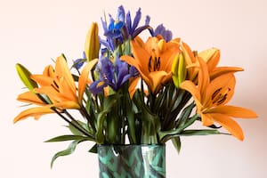 Los ramos de flores pueden durar frescas de tres a cinco semanas con los cuidados necesarios