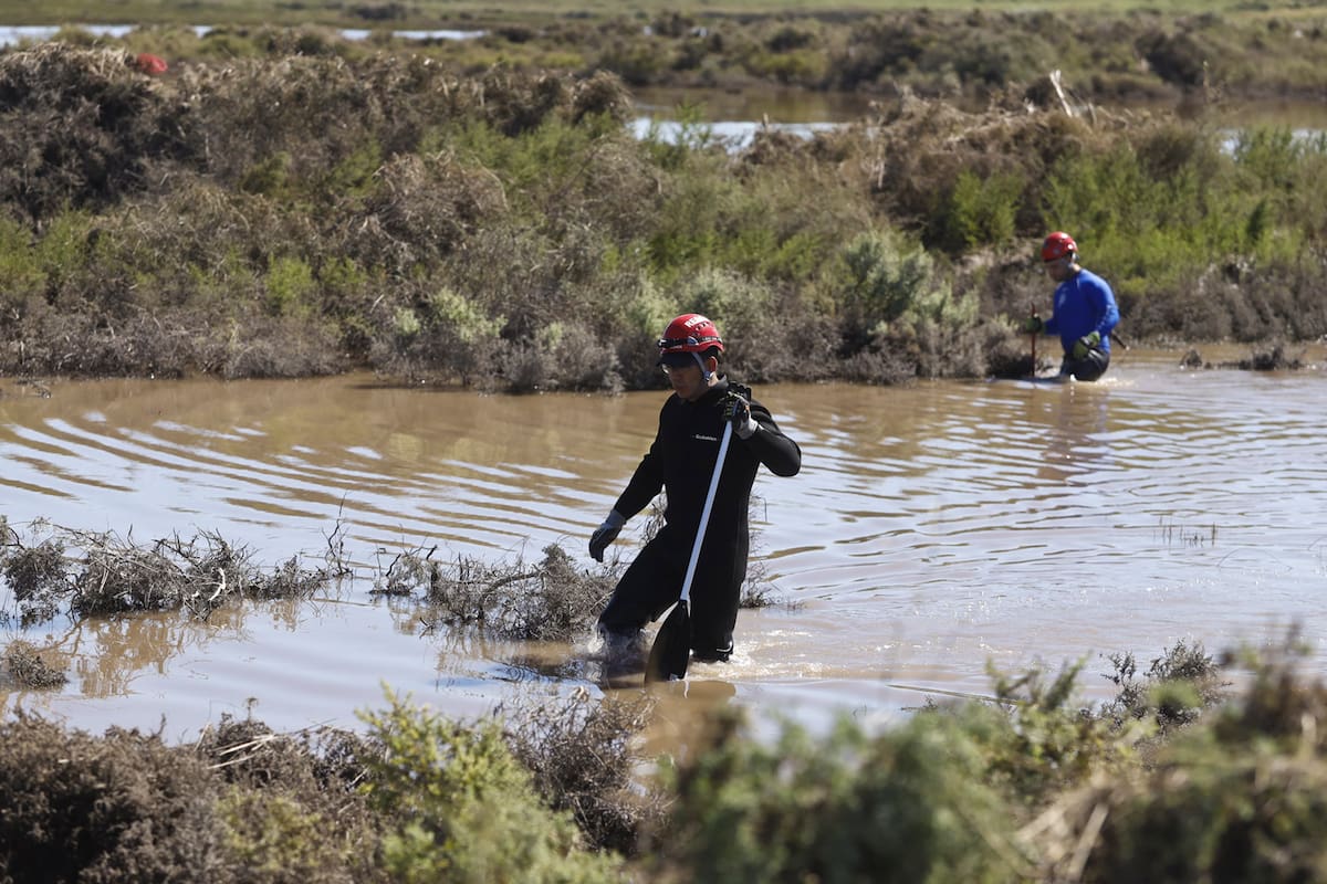 Los rastrillajes en la zona de Cerri, al oeste de Bahía Blanca
