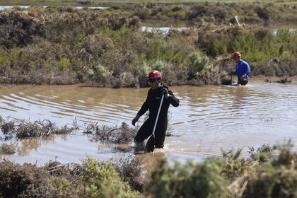 Los rastrillajes en la zona de Cerri, al oeste de Bahía Blanca