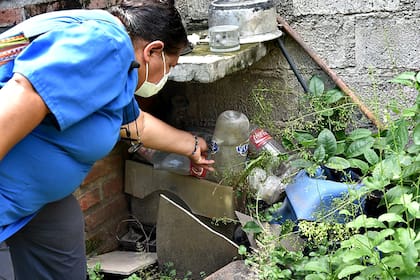 Los recipientes al aire libre con agua acumulada, potenciales criaderos