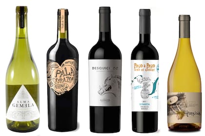 Los recomendados de vinos, a cargo de nuestra especialista Vero Gurisatti